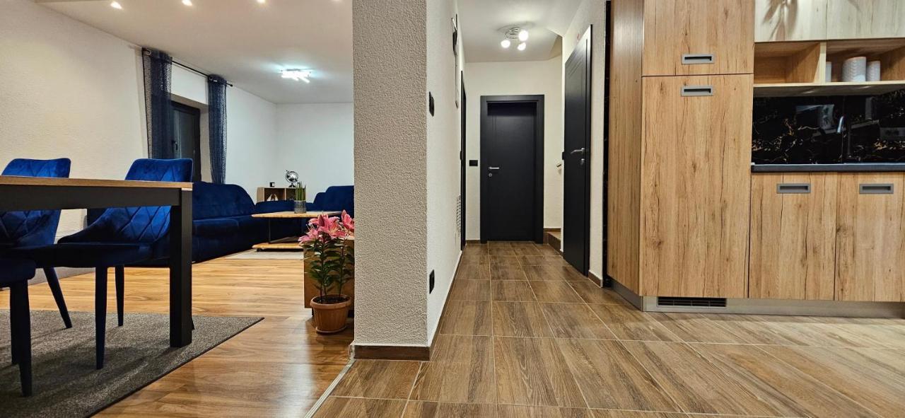 Betty Borik - Whole Ground Floor Rovinj
