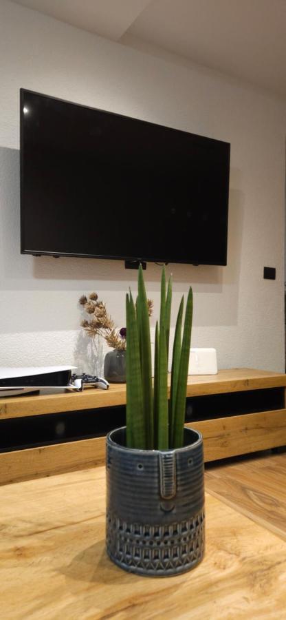 Betty Borik - Whole Ground Floor Apartament *